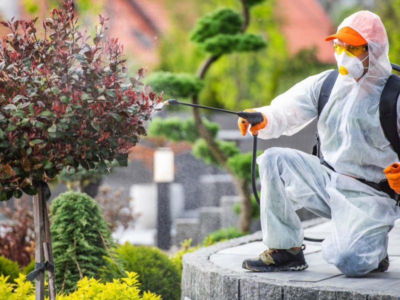 Nergiz Haşere İlaçlama